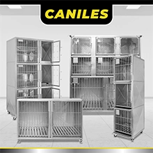 CANILES
